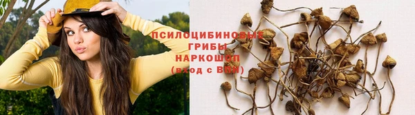MESCALINE Вязники