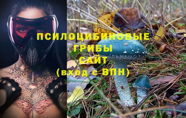 прущие крисы Горнозаводск
