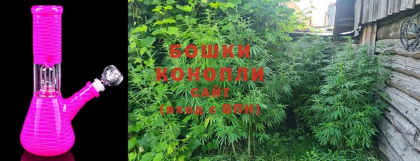 дурь Вяземский