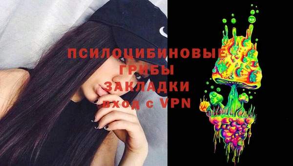 СК Сясьстрой