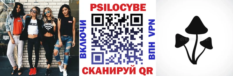 Купить закладки  Сертолово  Галлюциногенные грибы Cubensis 